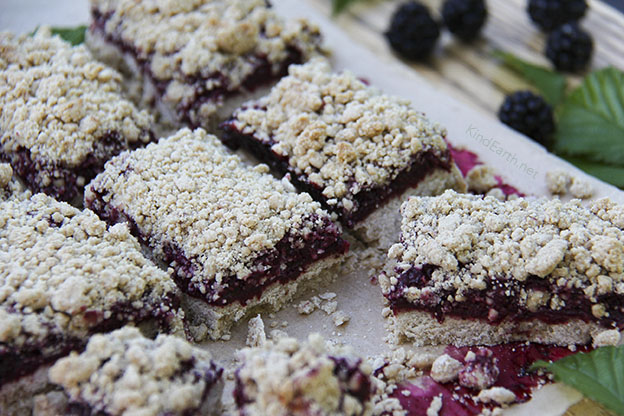 Gluten-free vegan blackberry pie bars