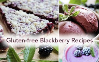 A round-up of easy gluten-free vegan blackberry recipes to make at home