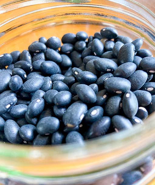 Dry black turtle beans