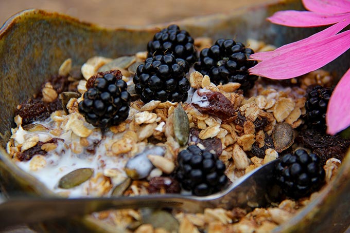 Healthy granola with maple syrup