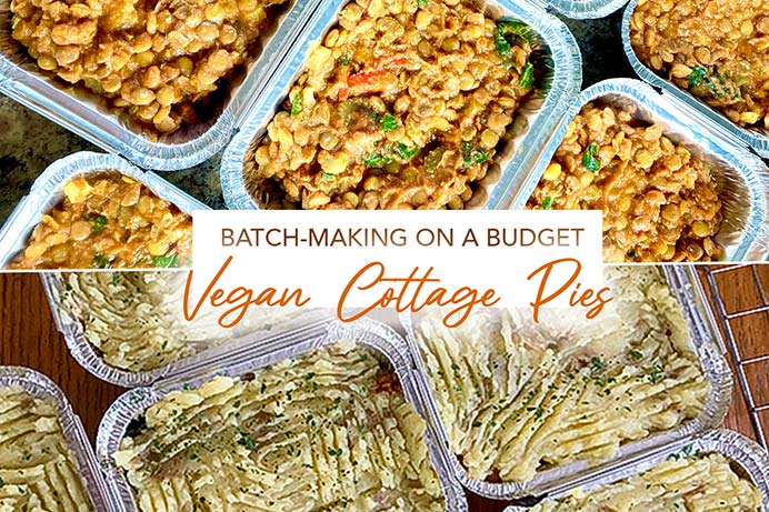 Vegan cottage pies recipes for a tight budget