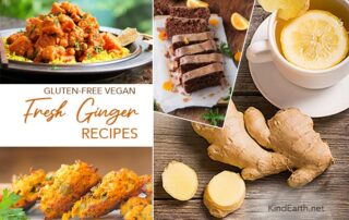 Recipes with fresh ginger. Gluten-free, vegan.