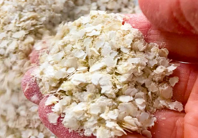 Quinoa flakes
