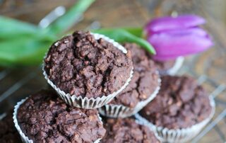 chocolate cupcakes gluten-free vegan