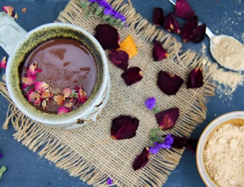 Lion’s mane hot chocolate with oat and dates