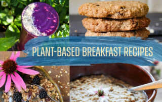 Plant based breakfast recipes
